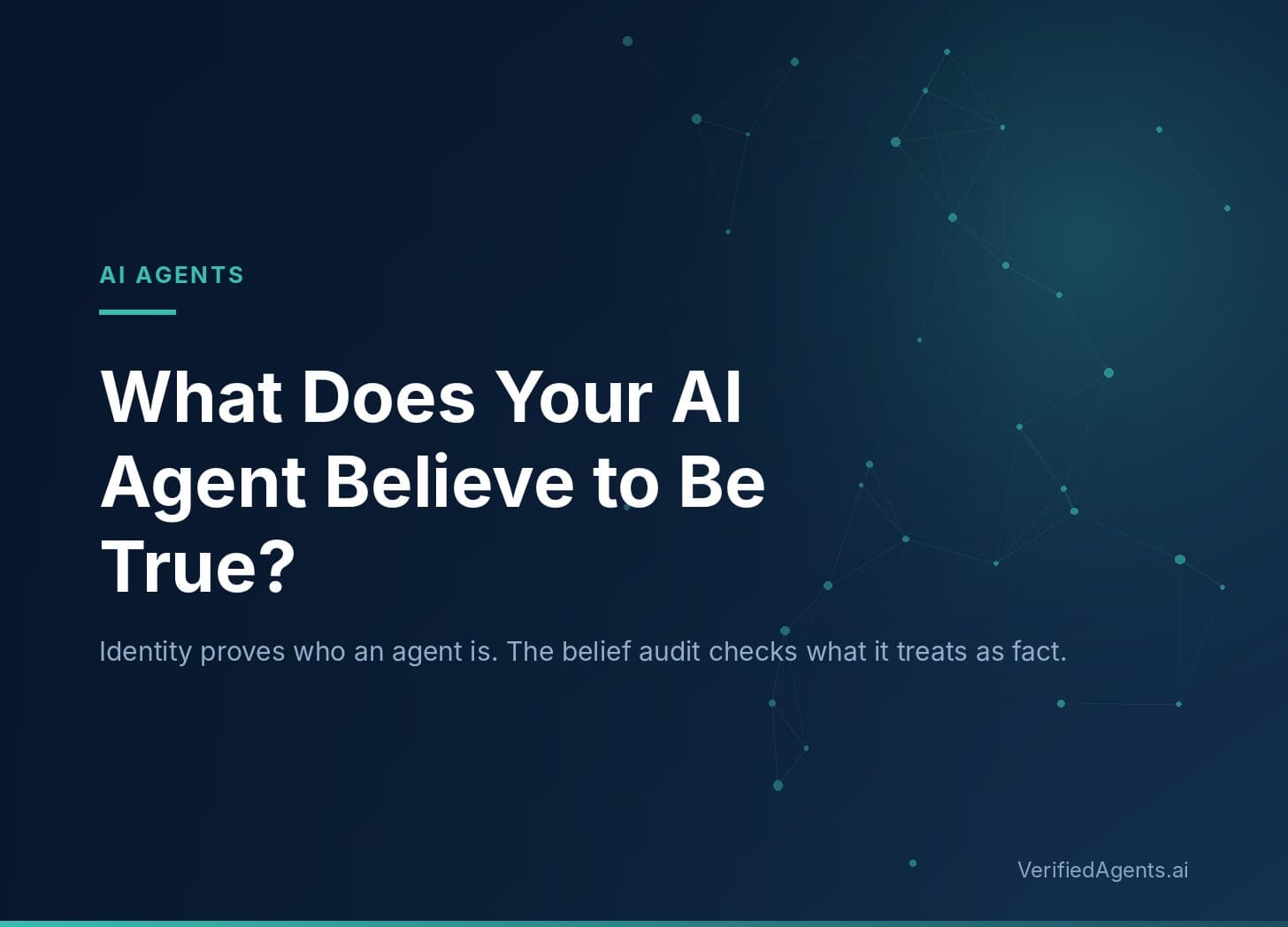Hero: What Does Your AI Agent Believe to Be True?